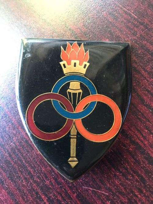 ORDNANCE SERVICES SCHOOL ,FIRST TYPE ,FLASH- 2 PINS