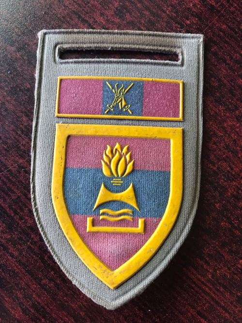 2 FIELD ENGINEER REGT. TUPPER FLASH-ONE PIN