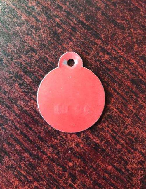 1981 KNYSNA MUNICIPALITY DOG TAG