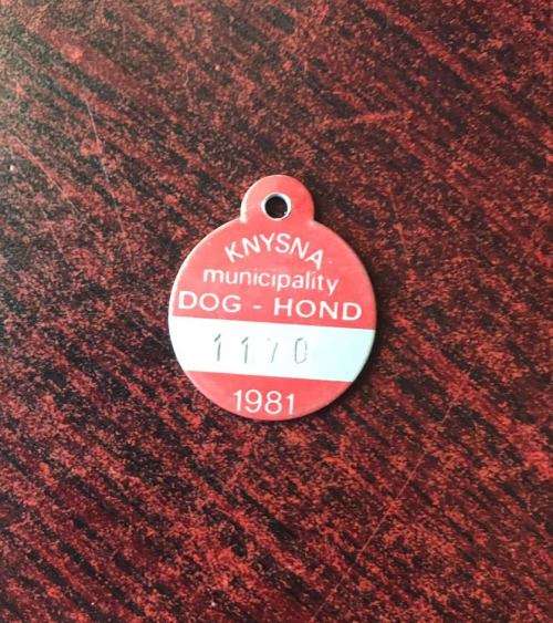 1981 KNYSNA MUNICIPALITY DOG TAG