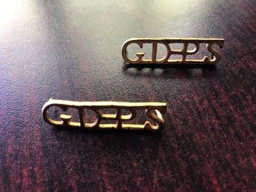 SA PRISON SERVICE TITLE PAIR-PINS INTACT