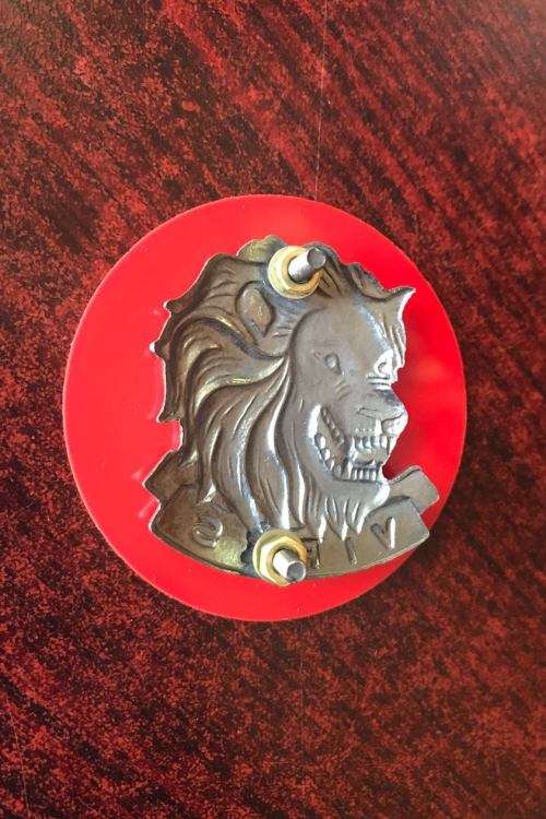 SA GREY METAL CAP BADGE SUBMITTED FOR APPROVAL AS THE ARMY CAP BADGE IN 1994-ONLY USED BY THE STATE