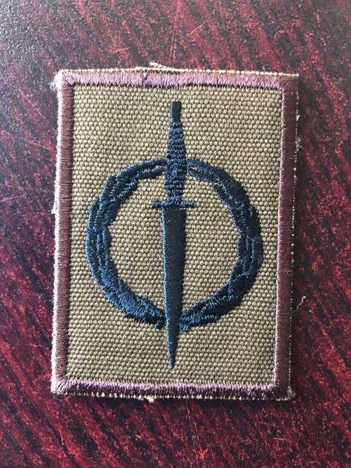 RECCE OPERATORS CLOTH BREAST BADGE WITH BROWN MERROW BORDER- ORIGINAL