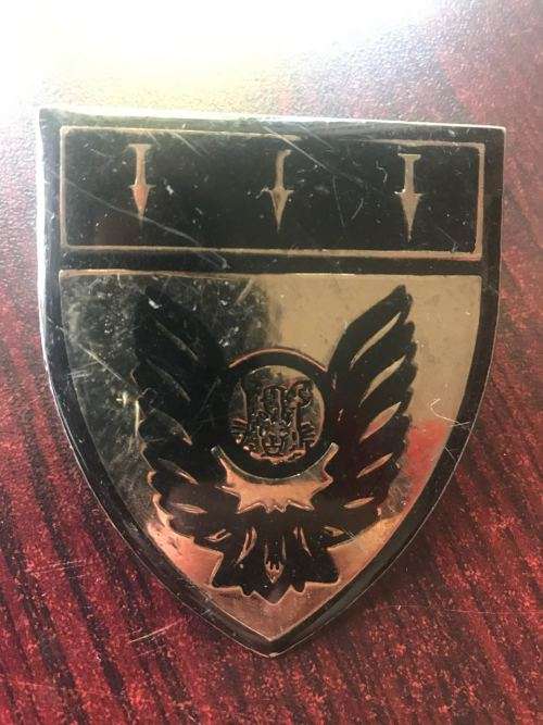 BOPHUTATSWANA SPECIAL FORCES FLASH- 2X PINS