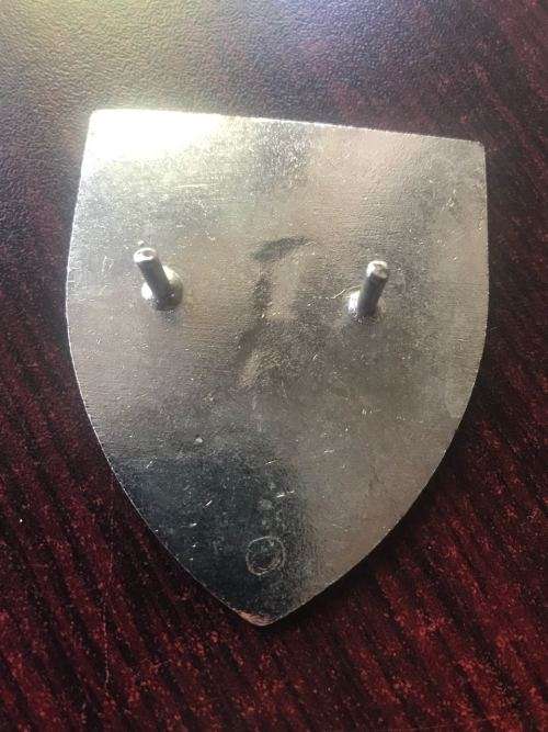 BOPHUTATSWANA SPECIAL FORCES FLASH- 2X PINS