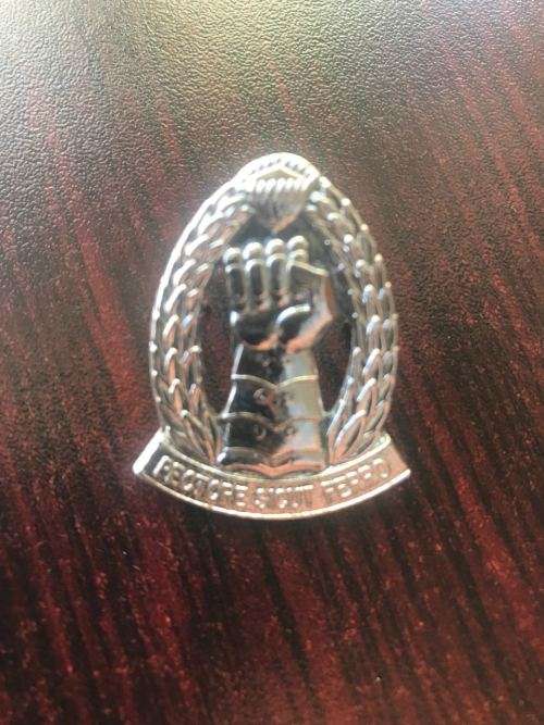 SA ARMOURED CORPS CHROMED CAP BADGE-WORN POST 1996- 2 PINS