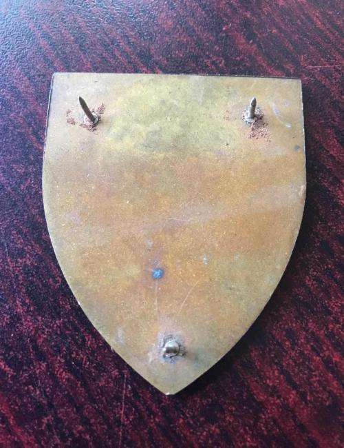 ARMY GYMNASIUM FLASH- 3 PINS