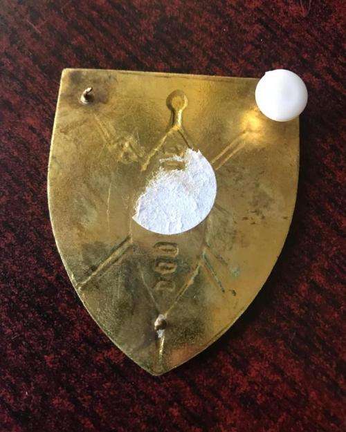 TRANSKEI DEFENCE FORCE FLASH- 3PINS