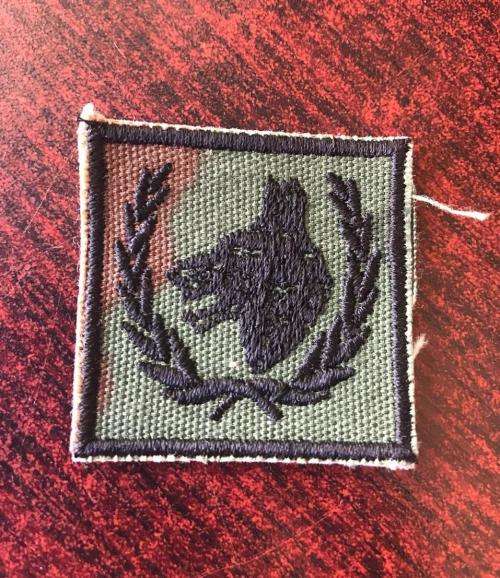 SANDF DOG HANDLER INSTRUCTOR CLOTH BREAST BADGE
