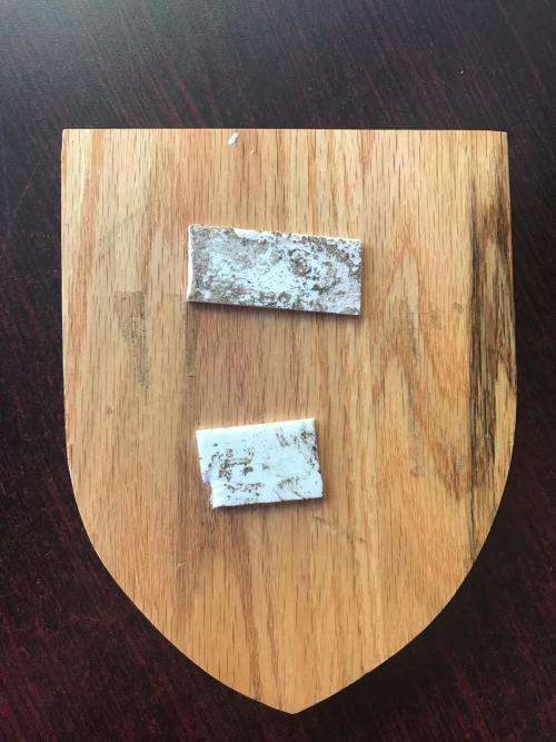 4 RECCE /SPECIAL FORCES PLAQUE