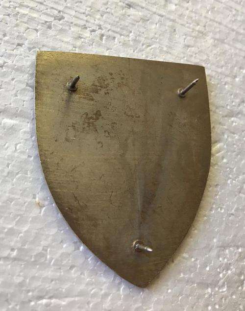 1 LIGHT HORSE REGT. FLASH- ORIGINAL- 2 PINS