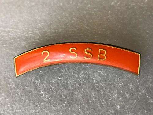 2 SPECIAL SERVICE BATTALION METAL SHOULDER TITLE- 2 PINS