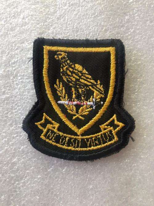 11 SQUADRON PATCH