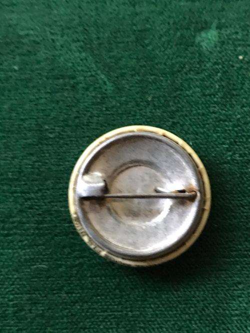 VAN RIEBEECKFEES 1652-1952 LAPEL PIN