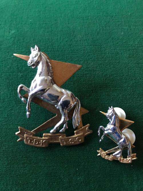 TECHNICAL SERVICE CORPS BI/METAL CAP & MESS DRESS COLLAR BADGE-WORN FROM 1960'S-LUGS + PINS COMPLETE