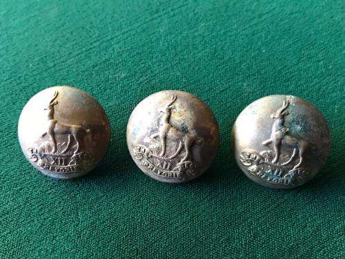 SA ARMOURED & INFANTRY CORPS PRETORIA REGIMENT-LARGE BRASS BUTTONS-WORN 1914-1933- SCARCE