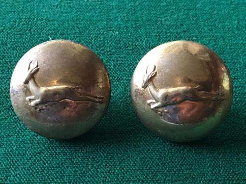 SA INFANTRY BRASS BUTTONS-16 IN TOTAL