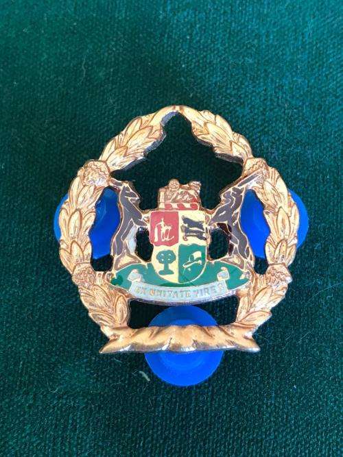 SA PRISONS SERVICE W.O. MESS DRESS RANK- 3 PINS