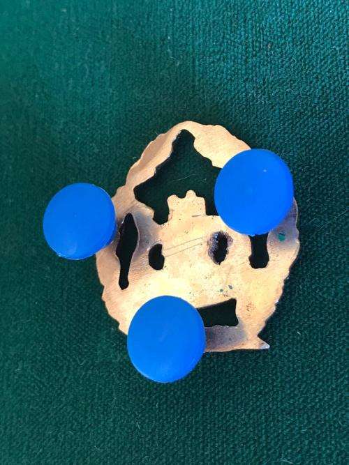 SA PRISONS SERVICE W.O. MESS DRESS RANK- 3 PINS