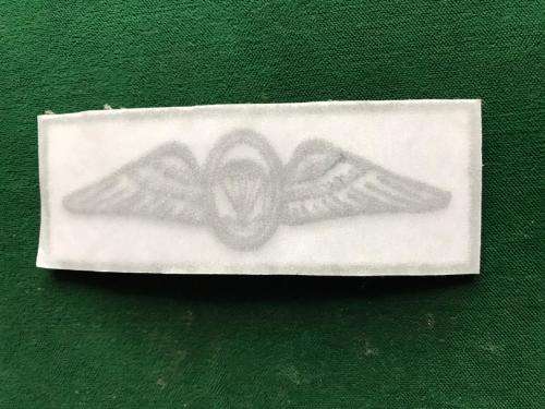 SANDF FREEFALL PARA WING