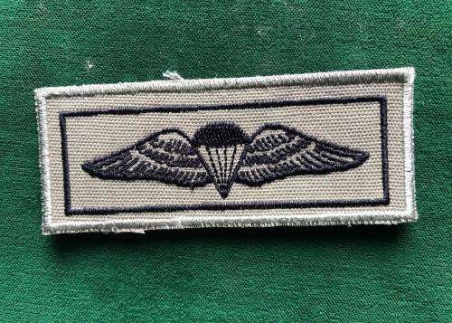 SANDF BASIC PARA WING