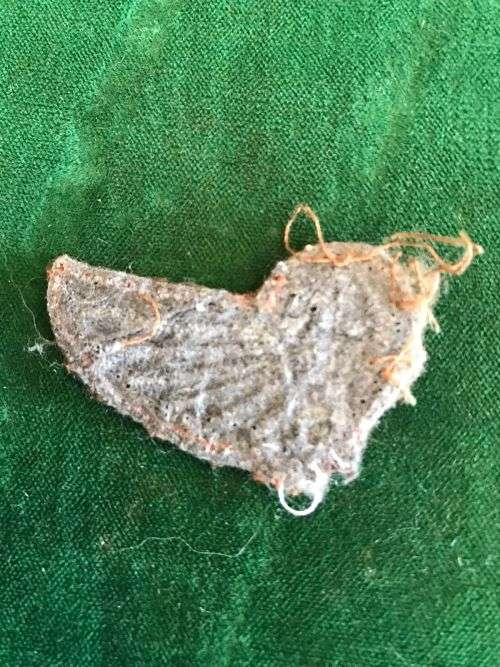 SA ARMY AIR SUPPLY WING