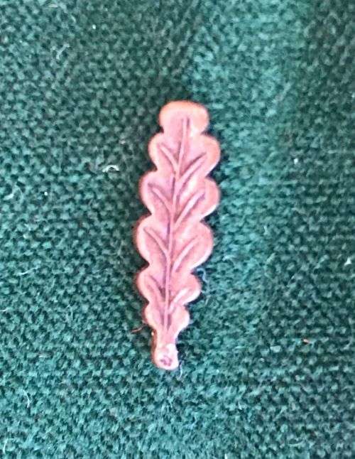 WW2 HONOURABLE MENTION IN DISPATCHES CLASP