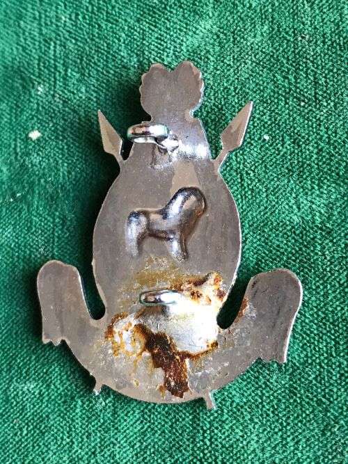 SWAZILAND POLICE CAP BADGE- 2 LUGS