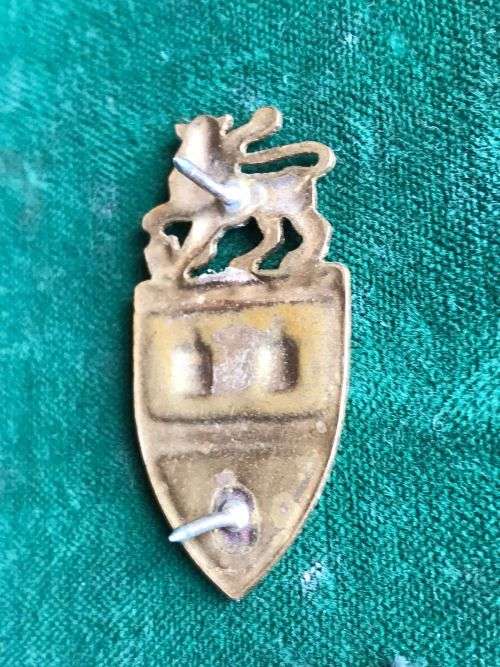 JOHANNESBURG REGT. GILT COLLAR BADGE-WORN FROM 1970`S- 2 PINS