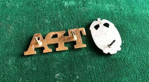 TRANSVAAL PROVINCIAL ADMINISTRATION COLLAR AND TITLE BADGE-ONE PIN MISSING