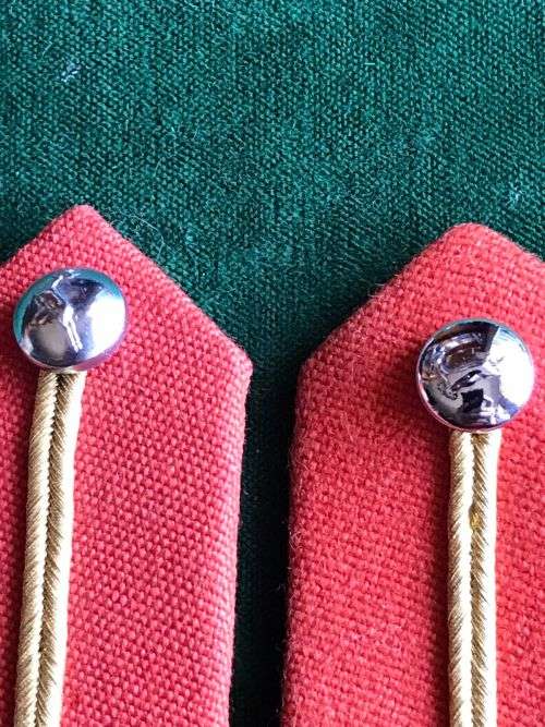 ARMY SENIOR OFFICERS,STAFF QUALIFIED, GORGET PATCH SET-APPROVED IN 1978