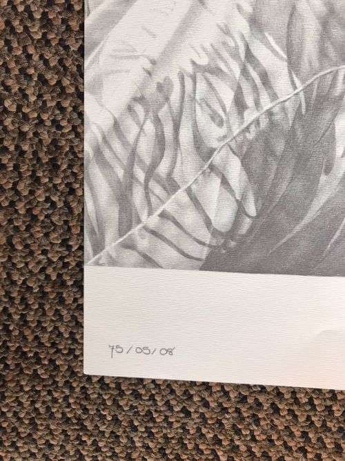 SA RECCE REGT. PENCIL SKETCH BY L. GREWER STEENKAMP AND SIGNED BY MAJ. F.W. LOOTSand COL. JAN BREYTE