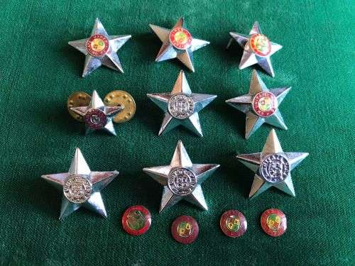 OFFICERS PIPS IN CHROME-WORN 1996-2002- 2 PINS MISSING