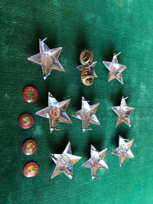 OFFICERS PIPS IN CHROME-WORN 1996-2002- 2 PINS MISSING