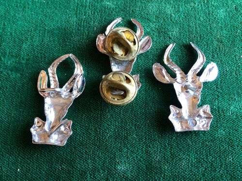 SA INFANTRY CHROME CAP AND COLLARS -ONE PIN MISSING