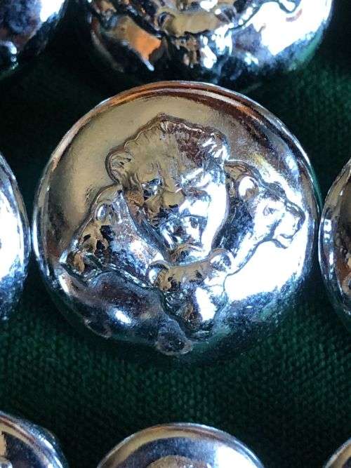 SANDF CHROME TUNIC BUTTONS-WORN POST 2002- 19 IN TOTAL