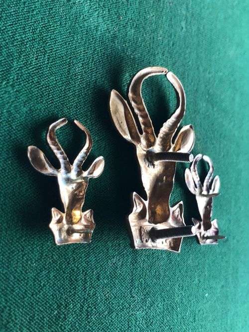 SA INFANTRY CORPS CAP AND COLLARS IN BRASS-WORN 1953-1976-LUGS + PINS INTACT