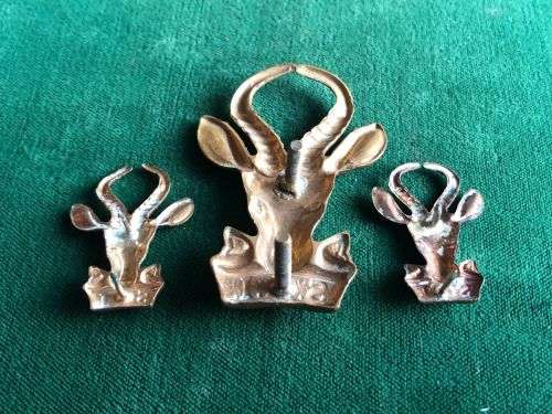 SA INFANTRY CORPS CAP AND COLLARS IN BRASS-WORN 1953-1976-LUGS + PINS INTACT