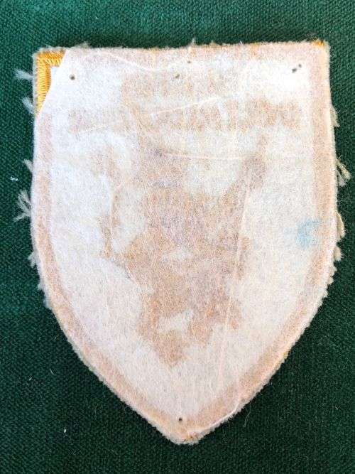 POLICE INSTRUCTORS CLOTH PATCH REBBIN