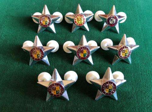 SADF OFFICERS RANK BADGES IN CHROME-WORN 1970`S-1996-ALL PINS INTACT- 8 SOLD TOGETHER