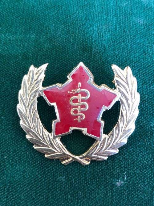 SA MEDICAL SERVICES 5 YEAR VOLUNTEER BREAST BADGE-APPROVED IN 1984- 2 PINS