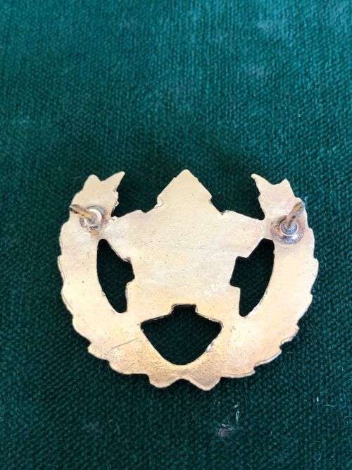 SA MEDICAL SERVICES 5 YEAR VOLUNTEER BREAST BADGE-APPROVED IN 1984- 2 PINS