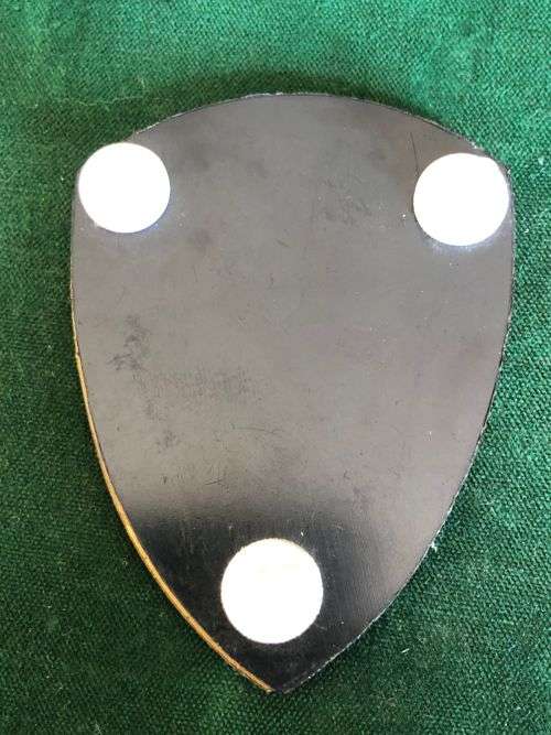 MEDICAL TRAINING CENTRE FLASH- 3 PINS