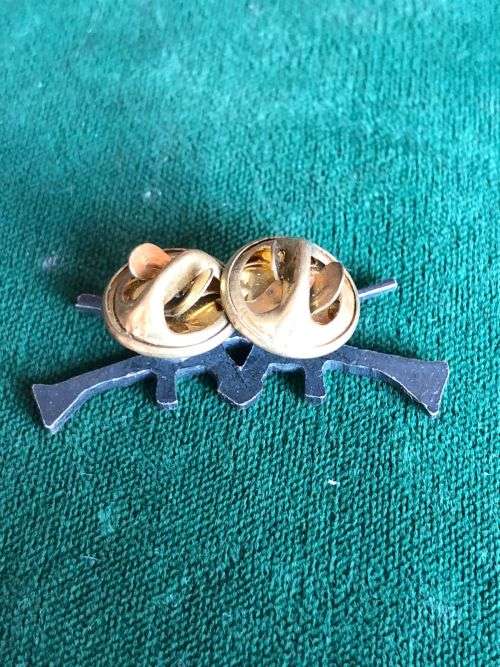 SWA TERRITORY FORCE MARKSMAN BADGE- 2 PINS