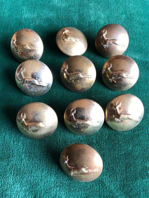 GILT SA INFANTRY TUNIC BUTTONS-10 SOLD TOGETHER-DIAMETER 22 MM