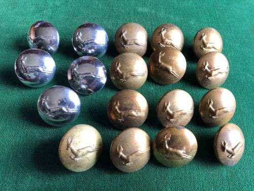 SA INFANTRY BUTTONS-5 CHROME AND 13 BRASS SOLD TOGETHER- DIAMETER 22MM