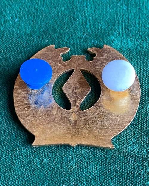 SAAF LEGAL DEPARTMENT BREAST BADGE- 2 PINS