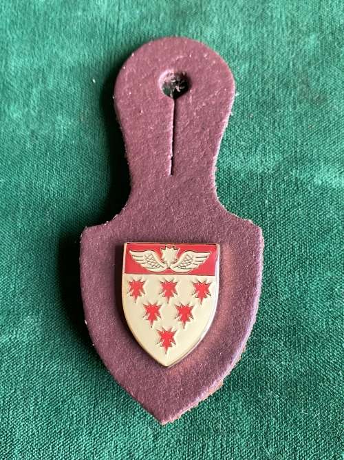 7 MEDICAL GROUP BATTALION (OPS MEDIC) FOB POCKET BADGE- 3 PINS