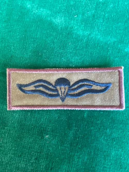 SA PARA CLOTH WING-FIELD DRESS-EMBROIDERED