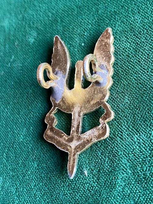 RHODESIA SAS ANODISED BERET BADGE- 1960`S-1980- 2 LUGS